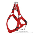 Adjustable Dog Harness for Outdoor Walking